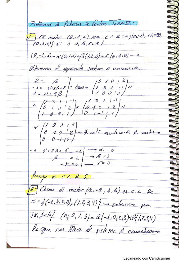 Miniatura del documento ProblemasSistemasVectores.pdf