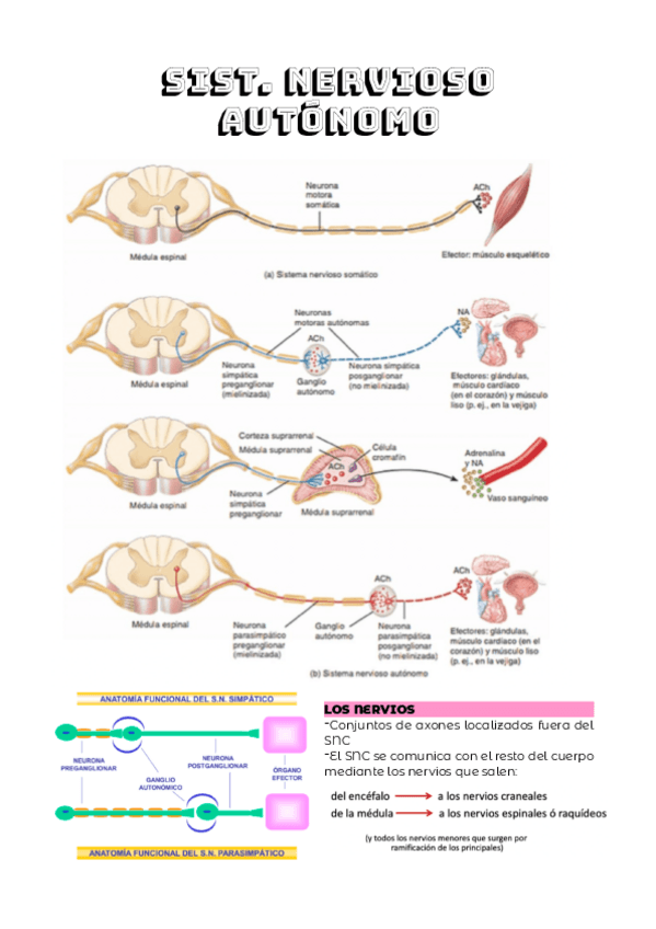 Miniatura del documento TEMA-4.2.pdf