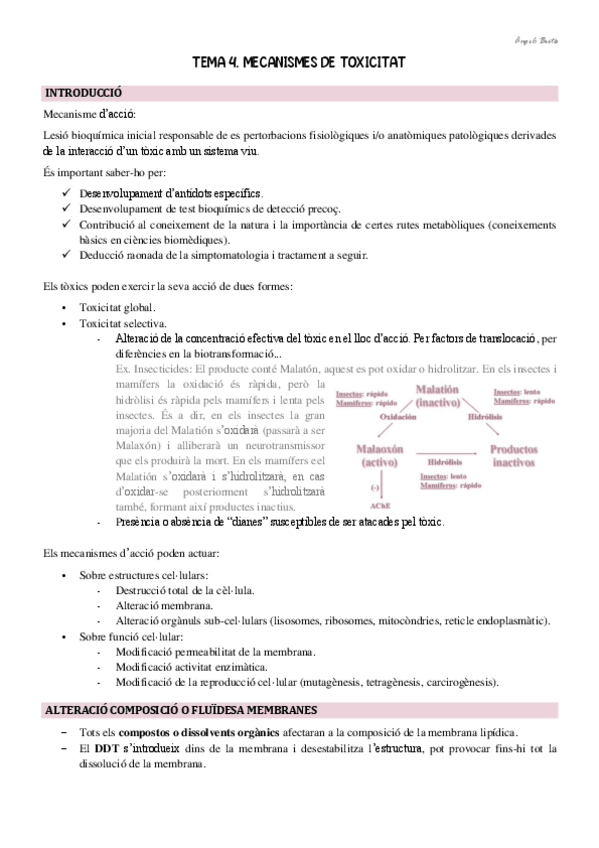 Miniatura del documento Tema-4.-Mecanismes-de-toxicitat.pdf