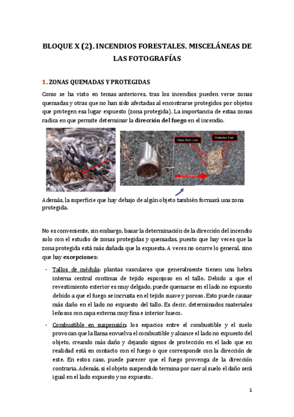 Miniatura del documento Bloque-X-2.-Incendios-forestales.-Miscelanea-de-las-fotografias.pdf