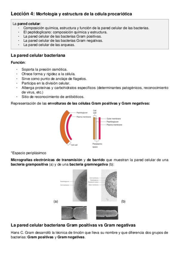 Miniatura del documento Leccion-4.pdf