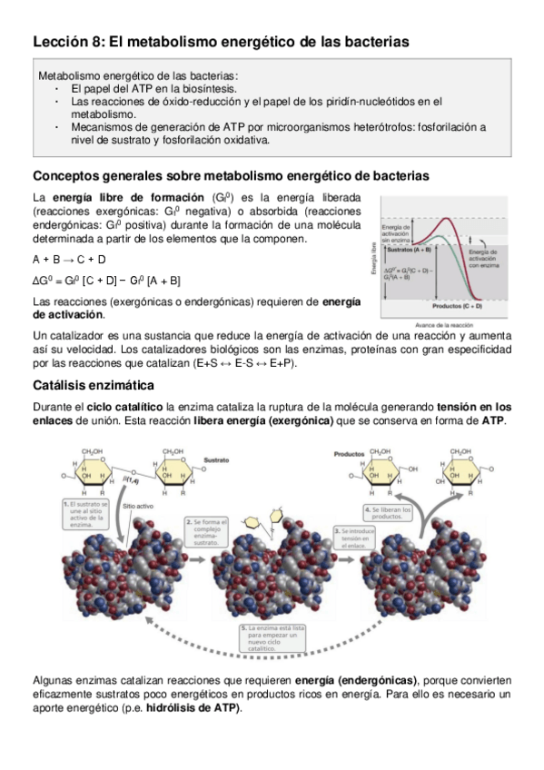 Miniatura del documento Leccion-8.pdf
