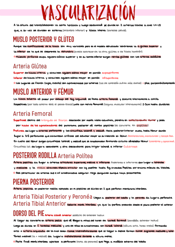Miniatura del documento 15.-Vascularizacion-e-Inervacion-Pierna.pdf