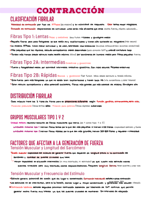 Miniatura del documento 14.-Contraccion-Muscular.pdf