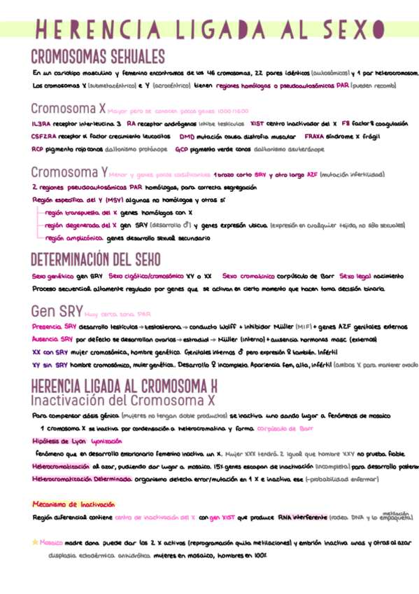 Miniatura del documento 12.-Herencia-Ligada-al-Sexo.pdf