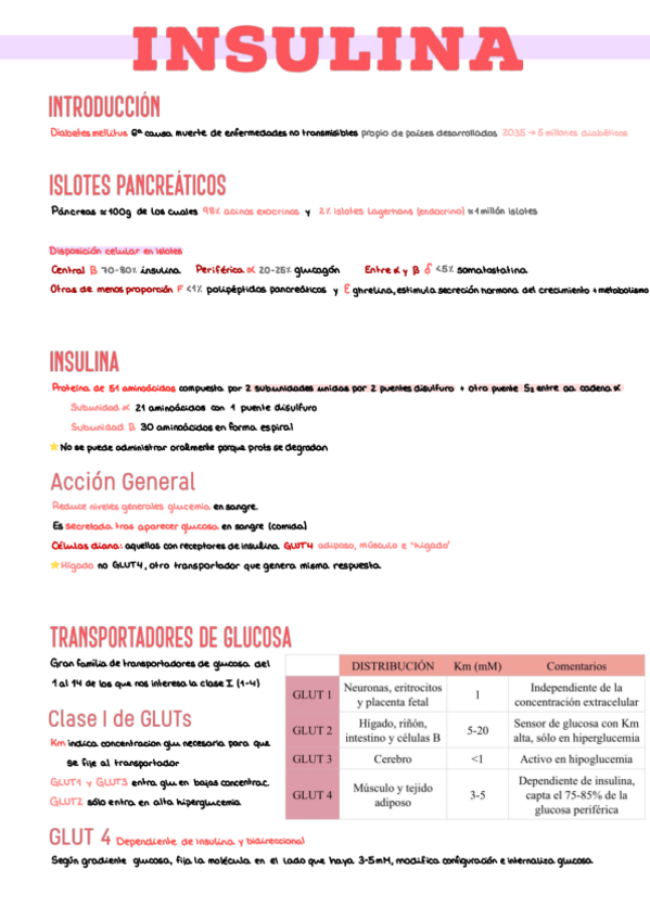 Miniatura del documento 4.-Hormonas-Glucemia.pdf