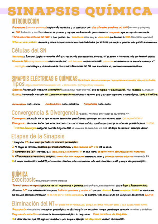 Miniatura del documento 6.-Sinapsis.pdf