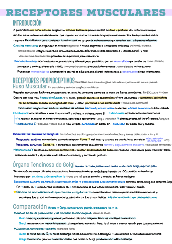 Miniatura del documento 15.-Receptores-Musculares.pdf