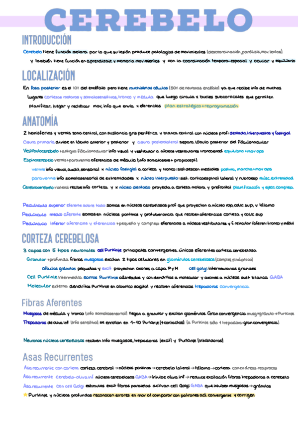 Miniatura del documento 16.-Cerebelo.pdf