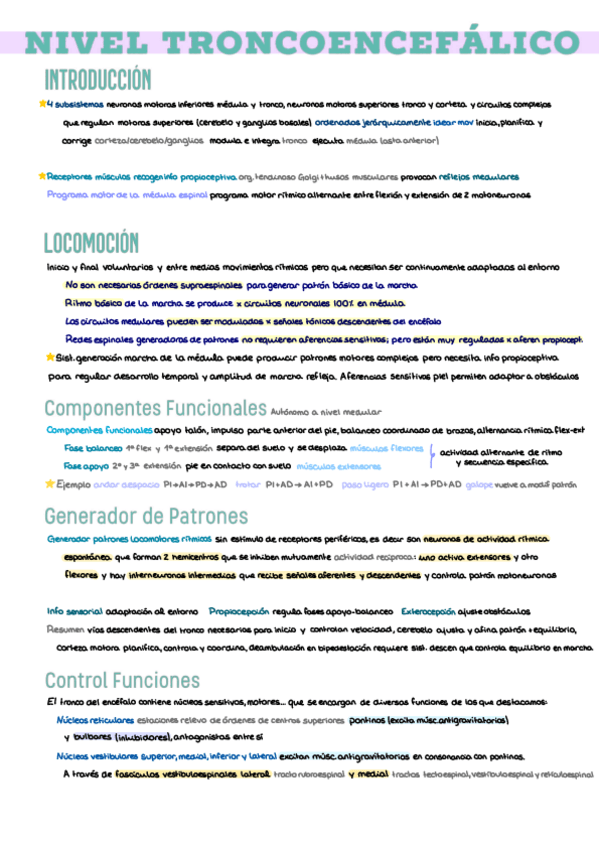 Miniatura del documento 17.-Troncoencefalo.pdf