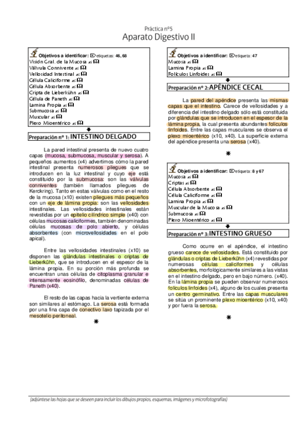 Miniatura del documento 4.-Laboratorio-Histologia-Digestivo-II.pdf