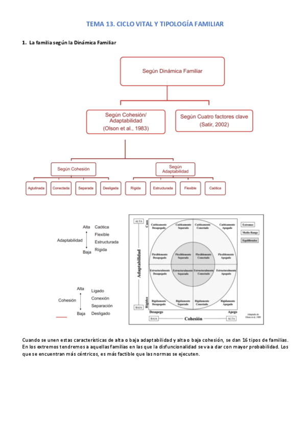 Miniatura del documento TEMA-13.pdf