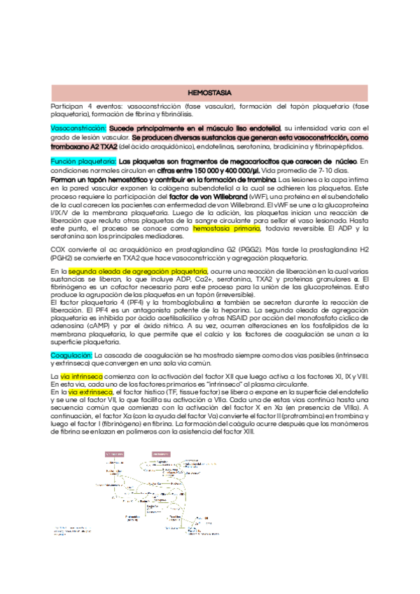 Miniatura del documento GUIA-DE-CIRUGIA-3er-parcial.pdf
