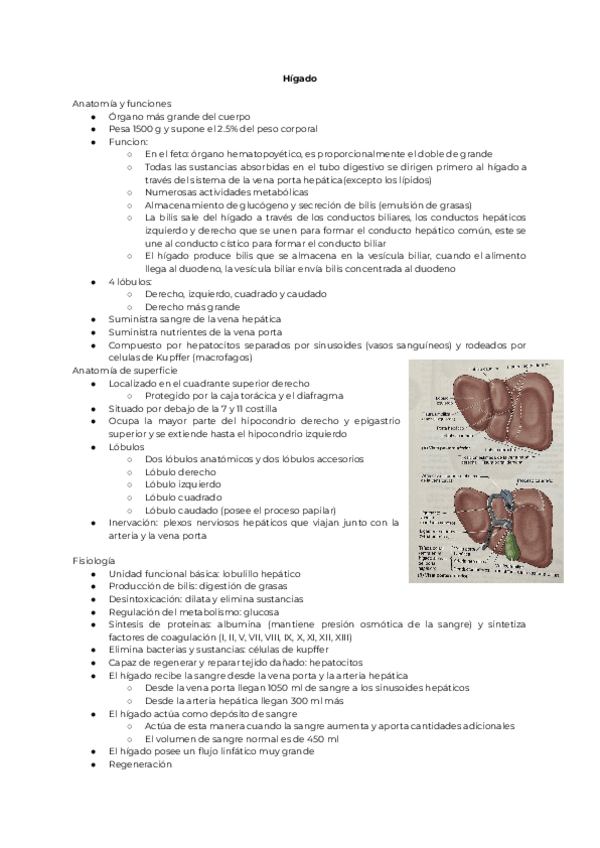 Miniatura del documento Generalidades-patologicas-de-higado-y-bazo.pdf