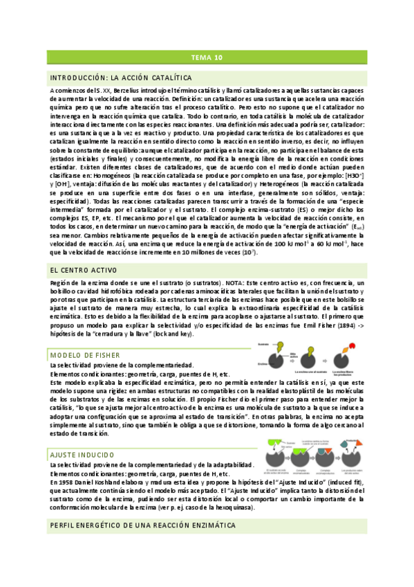 Miniatura del documento Segundo-parcial-enzimo.pdf