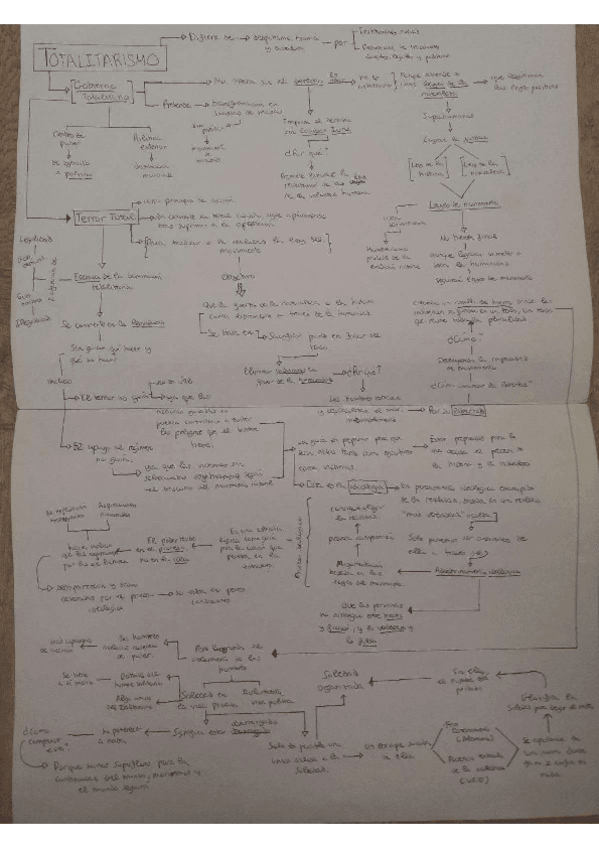 Miniatura del documento ESQUEMA-HANNAH-ARENT-IDEOLOGIA-Y-TERROR.pdf