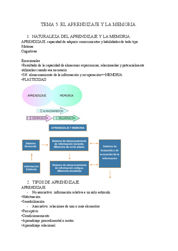 Miniatura del documento TEMA-5-PSICOBIOLOGIA.pdf
