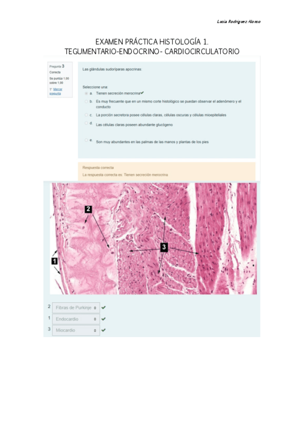 Miniatura del documento EXAMEN-HISTOLOGIA-TEGUMENTARIO-ENDOCRINO-CARDIO.pdf