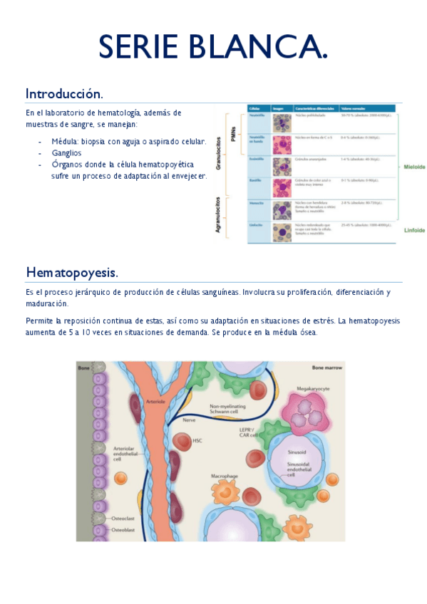 Miniatura del documento SERIE-BLANCA-2023.pdf