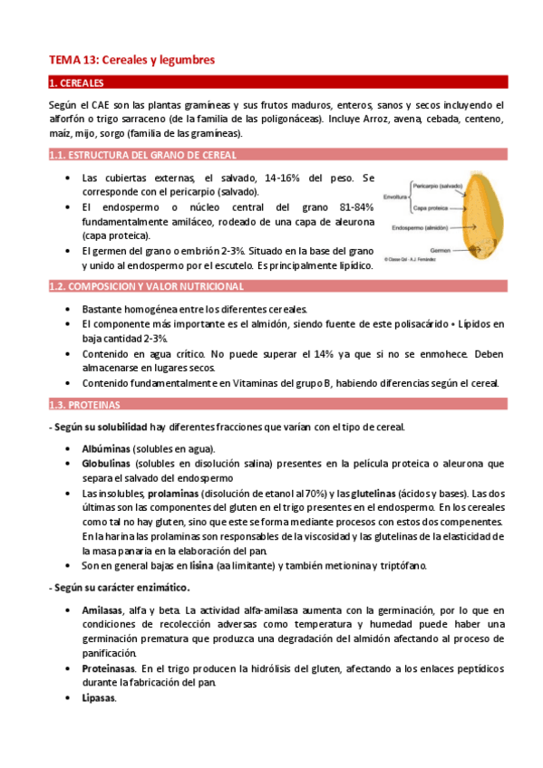 Miniatura del documento TEMA-13.-CEREALES-Y-LEGUMBRES.pdf