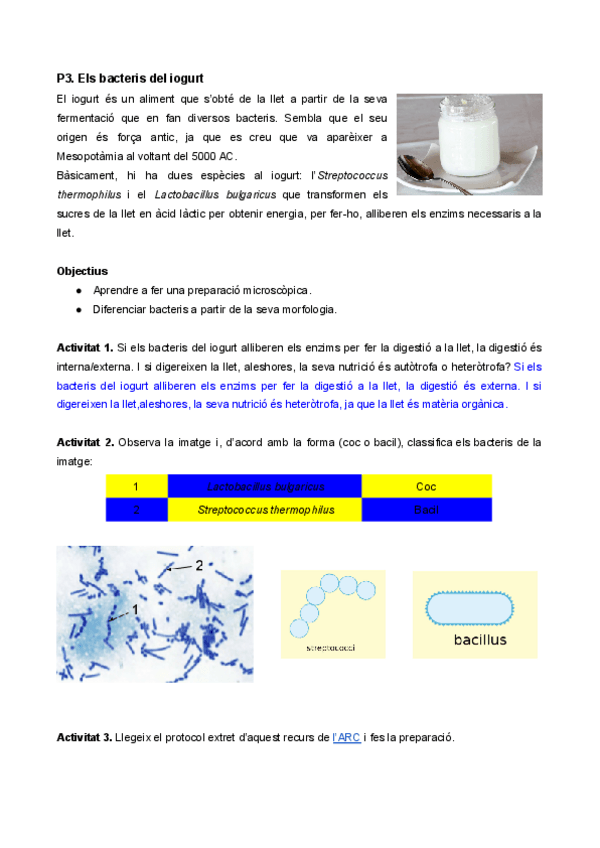 Miniatura del documento P3.-Els-bacteris-del-iogurt.pdf