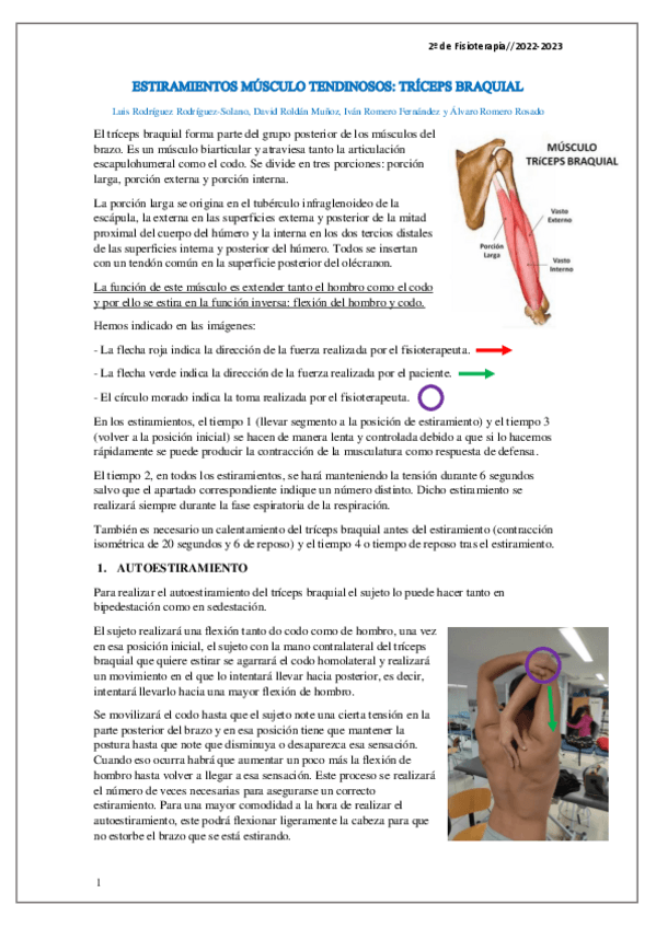Miniatura del documento ESTIRAMIENTOS-MUSCULO-TENDINOSOS.pdf
