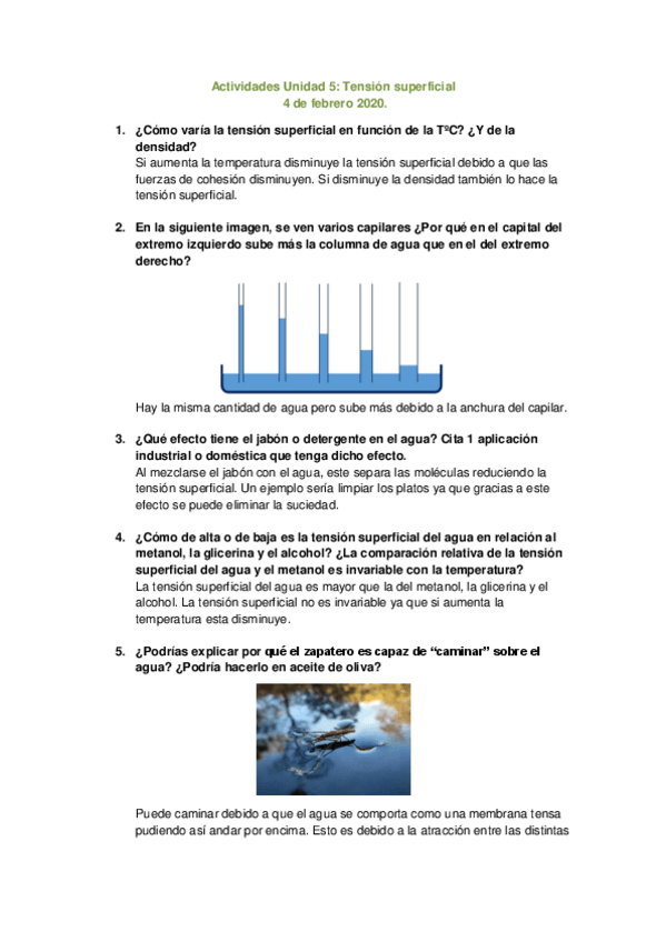 Miniatura del documento Ejercicios-tension-superficial.pdf