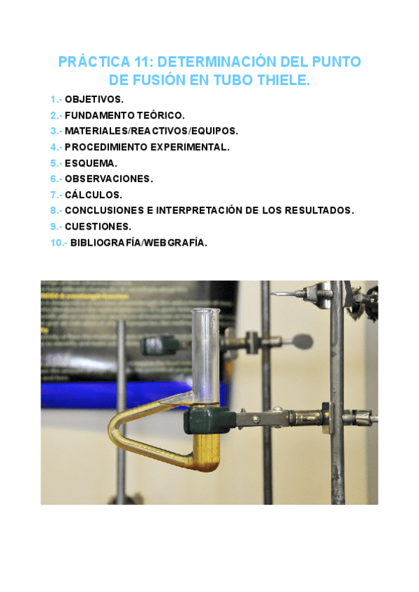 Miniatura del documento PRACTICA-11-FISICOQUIMICA.pdf
