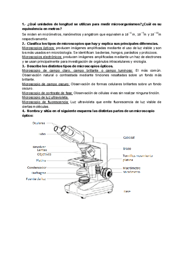Miniatura del documento MICROSCOPIO-OPTICO-ACTIVIDADES.pdf