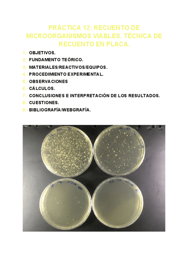 Miniatura del documento PRACTICA-12-MICRO.pdf