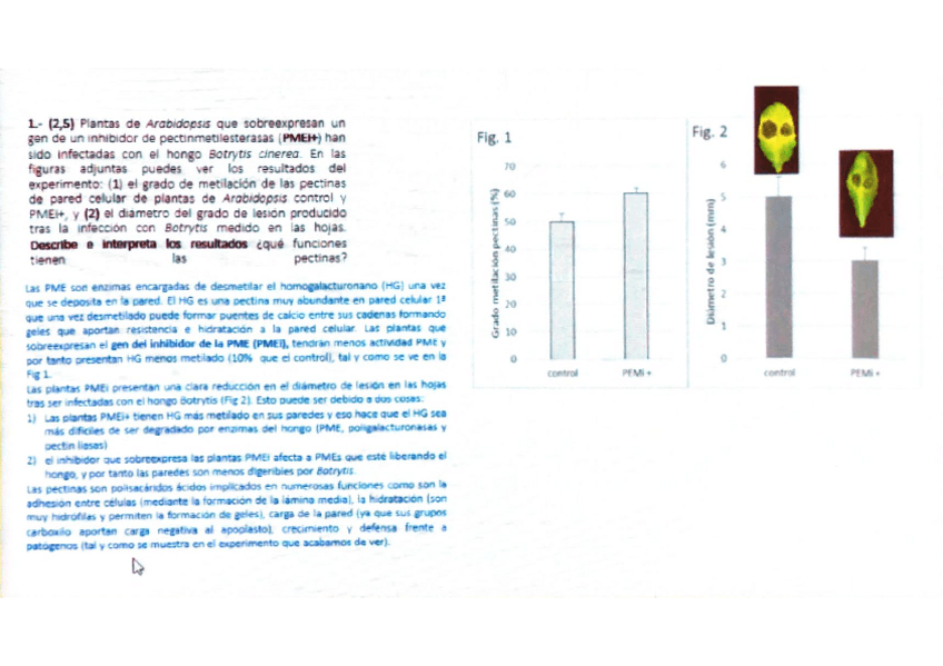 Miniatura del documento Parcial-FV-2021.pdf