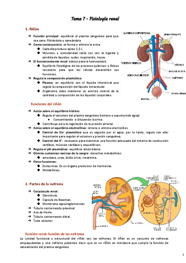 Miniatura del documento TEMA-7-1.pdf