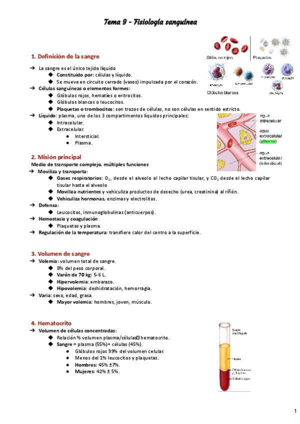 Miniatura del documento Tema-9.pdf