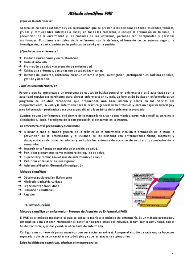 Miniatura del documento PAE.pdf