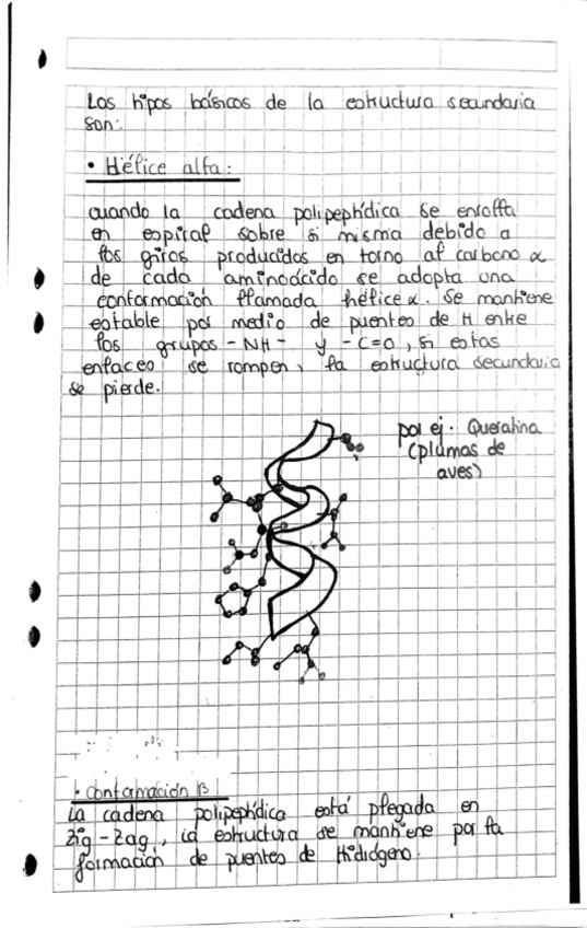 Miniatura del documento Biologia-4.pdf