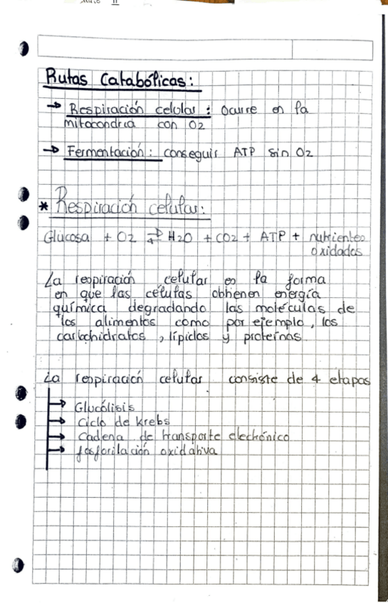 Miniatura del documento Biologia-7.pdf