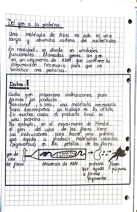 Miniatura del documento Biologia-9.pdf
