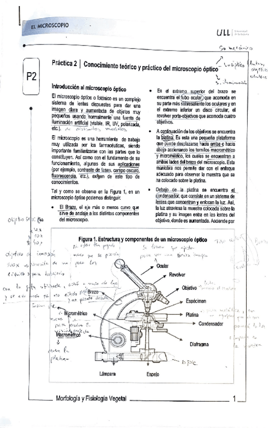 Miniatura del documento Biologia-13.pdf