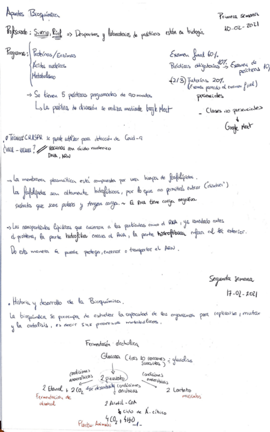 Miniatura del documento Bioquima-3.pdf