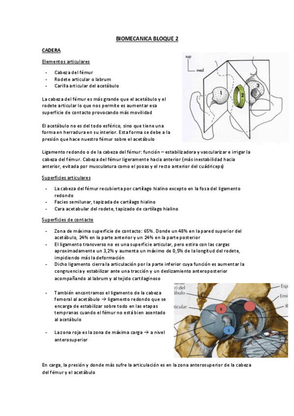 Miniatura del documento BIOMECANICA BLOQUE 2.pdf