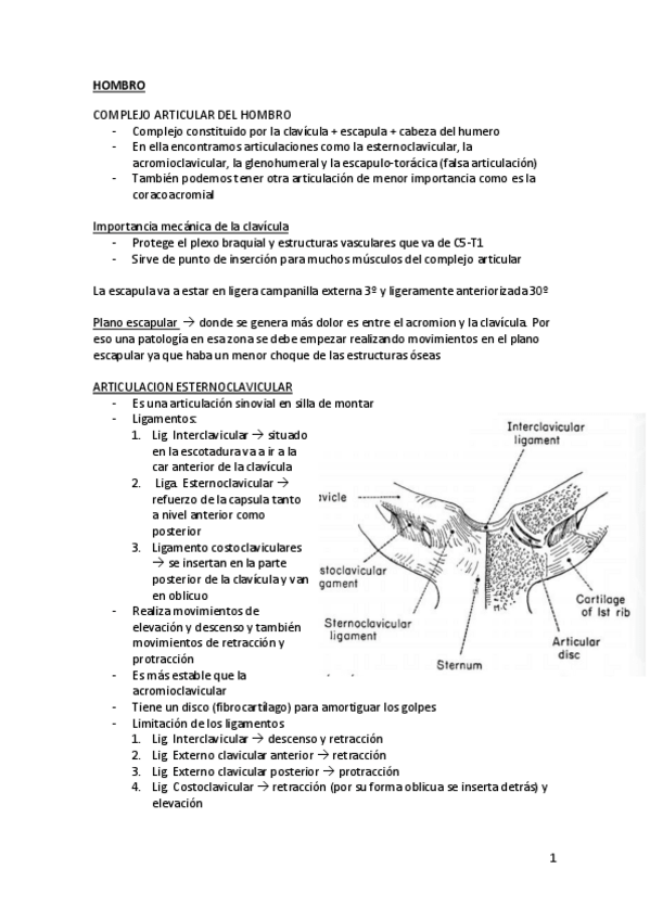Miniatura del documento BIOMECANICA BLOQUE 3.pdf