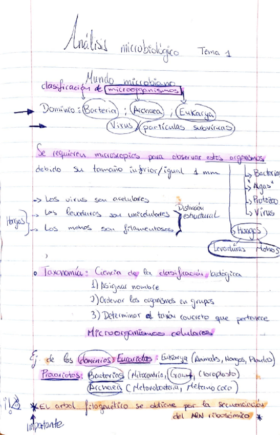 Miniatura del documento Microbiologia-1.pdf