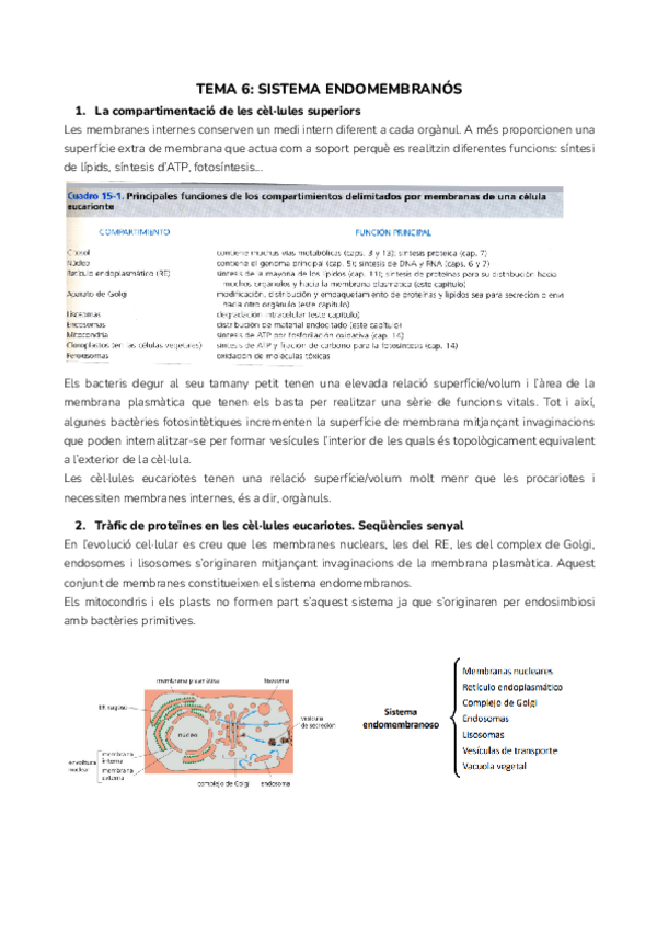 Miniatura del documento TEMA-6-SISTEMA-ENDOMEMBRANOS.pdf