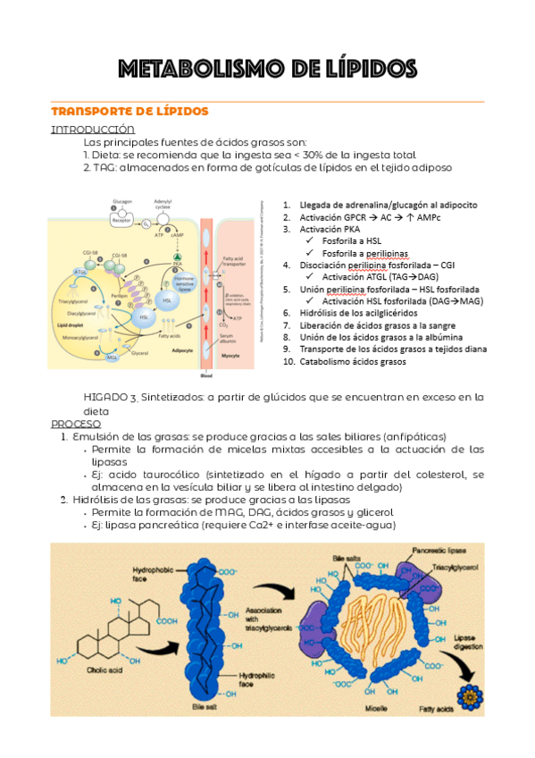Miniatura del documento TEMA-7.pdf