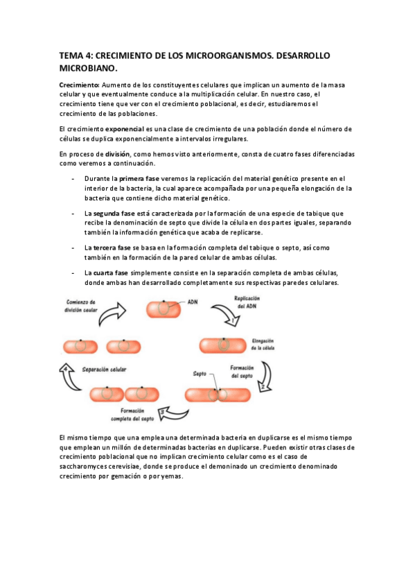 Miniatura del documento TEMA-4.pdf