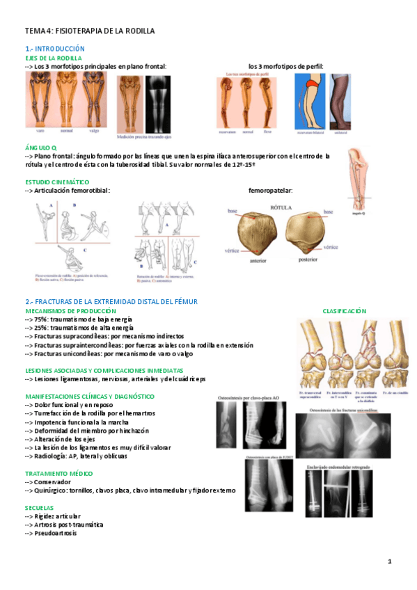 Miniatura del documento TEMA-4-FAL-II.pdf