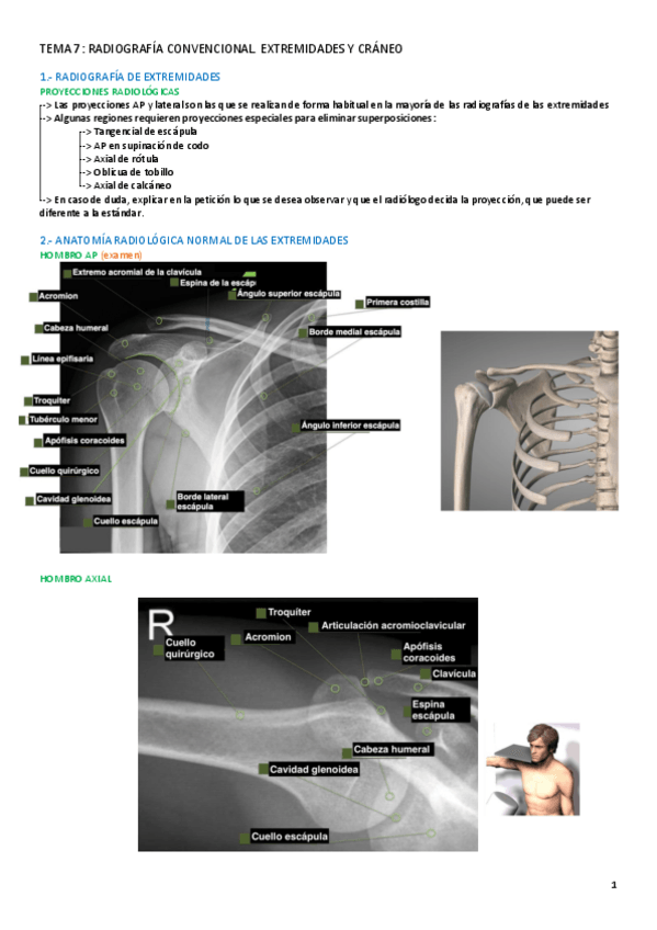 Miniatura del documento TEMA-7-RADIOLOGIA.pdf-1.pdf