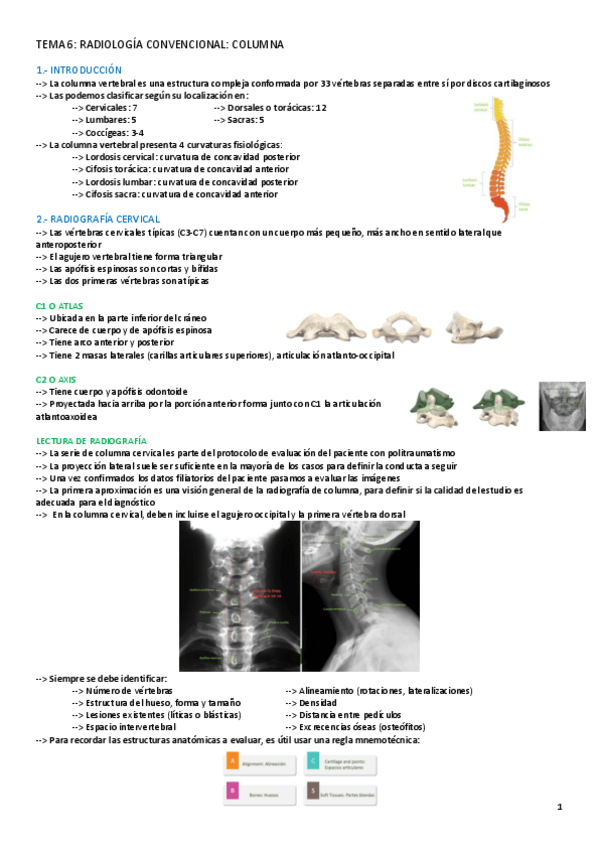 Miniatura del documento TEMA-6-RADIOLOGIA.pdf
