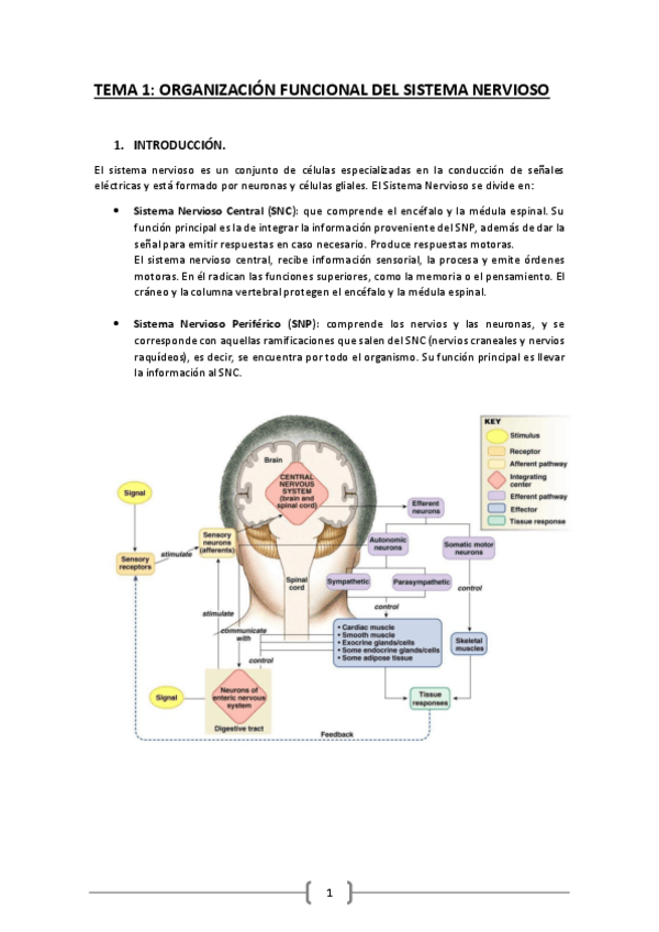 Miniatura del documento Fisiolofia-Bloque-I.pdf