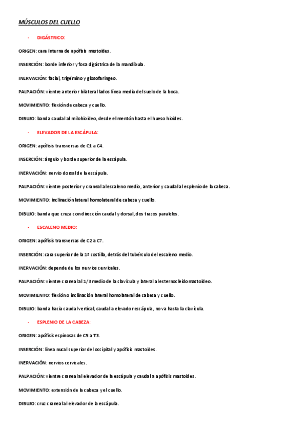 Miniatura del documento MUSCULOS-Y-DIBUJO.pdf